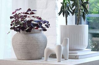 Twoje rośliny ci za nie podziękują. Ceramiczne donice do salonu - jak je wybrać?