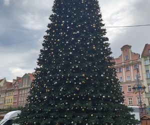 Choinka za milion złotych stanęła we Wrocławiu. Tak wygląda luksusowe drzewko 