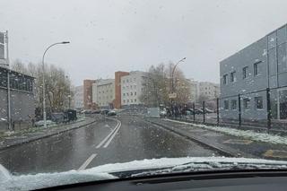 Śnieg w Rzeszowie [GALERIA]