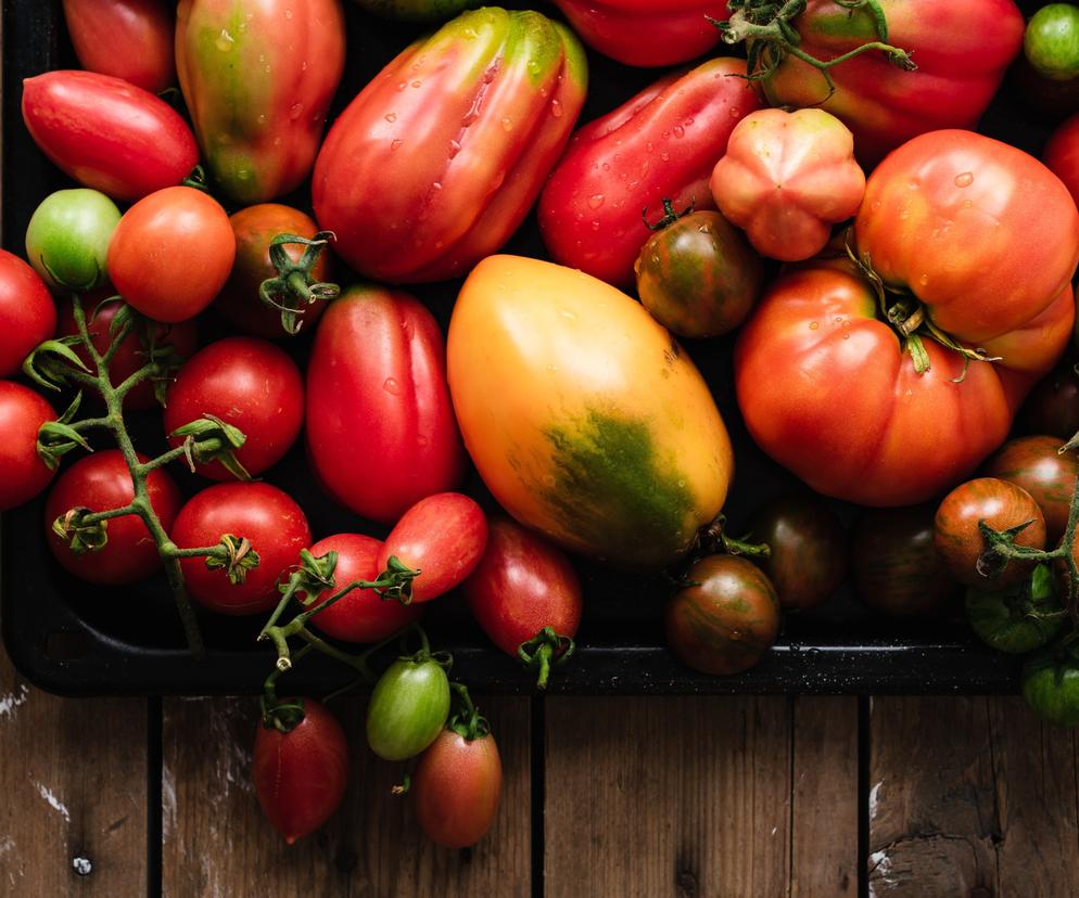 Dlaczego pomidory nie dojrzewają? Żółta obwódka wokół szypułki oznacza brak składników mineralnych