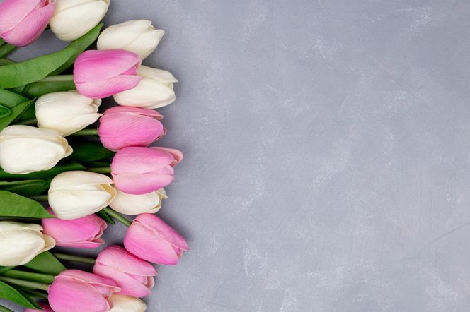 Dzień Teściowej 2025. Wyjątkowe życzenia i śmieszne wierszyki dla teściowej [5.03.2025]