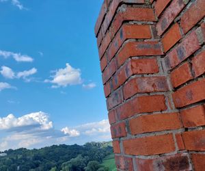 Przez to miasto Kujawsko-Pomorskiem nie da się przejść niezauważonym. Na turystów patrzy ponad 200 par kamiennych oczu. Wszędzie są twarze!