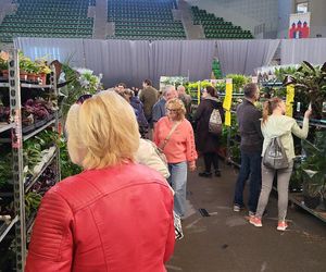 Bydgoszcz rozkwitła zielenią w Łuczniczce. Tak było na Festiwalu Roślin
