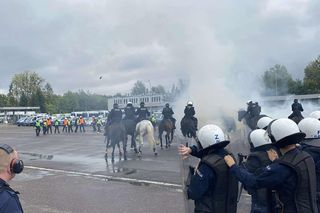 Konie, psy i wybuchy! Tak wyglądały ćwiczenia policjantów i strażników miejskich 