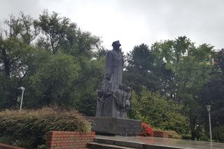 Rzeszów walczy ze szczurami w parku