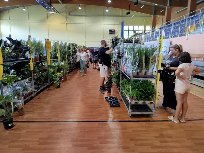 Festiwal Roślin 2025 w Siedlcach