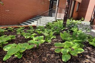 Skwer przy ul. Wyżynnej w Lublinie