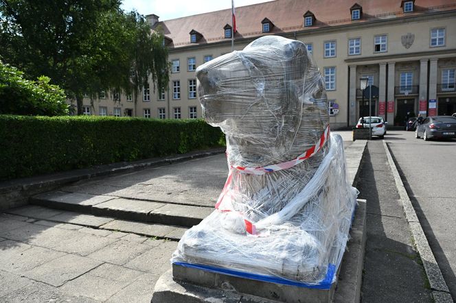 Renowacja koszalińskich lwów