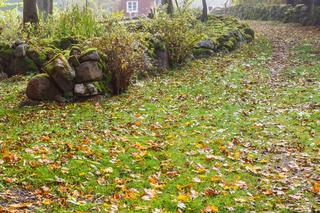 Te zabiegi są ważne dla trawnika w październiku, listopadzie i grudniu