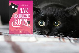 Zaręczony?! I co z tego! - „Jak odchudzić kota” Moniki Wawrzyńskiej  