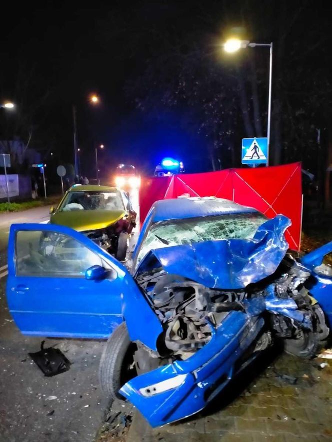 Tragiczny wypadek w Wielkopolsce. Nie żyje 71-letni mężczyzna. Sprawca próbował uciekać