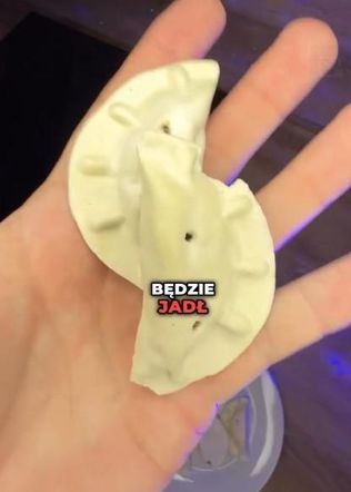 Tak wygląda jedzenie Sławosza Uznańskiego-Wiśniewskiego. Zje je w kosmosie 