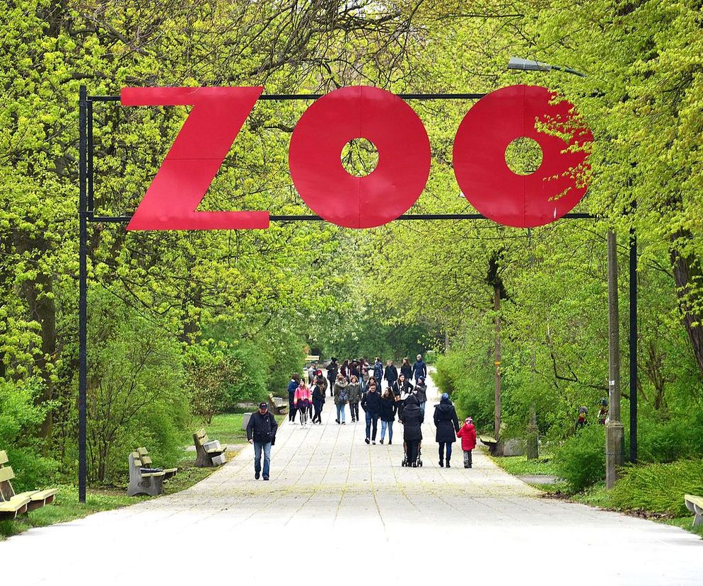 ZOO w Warszawie
