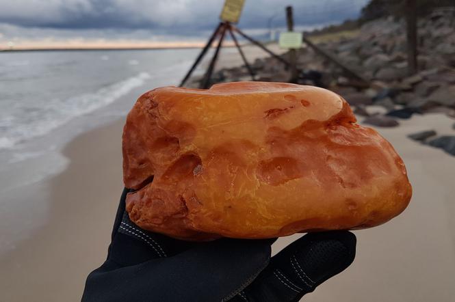 Ogromny bursztyn znaleziony na plaży w Kołobrzegu. Wiemy co się z nim teraz stanie [ZDJĘCIA]