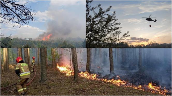 Podpalenie doprowadziło do ogromnego pożaru! Pod Grójcem spłonęło 100 hektarów lasu [WIDEO, ZDJĘCIA]