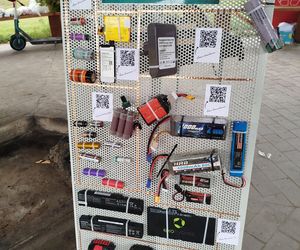 Dębowy Elektryczny Las został zasadzony nad Siedleckim zalewem w ramach programu Polska Stolica Recyklingu