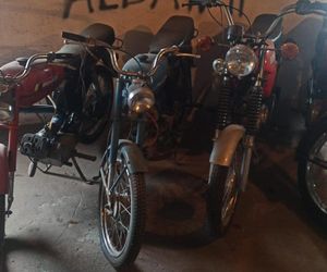 Oszukali ponad stu rolników na miliony złotych! Odbierali zwierzęta, nigdy za nie zapłacili