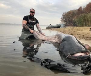  Zanim walczył w MMA, łapał grube ryby. Przeszłość Apteki zaskakuje!