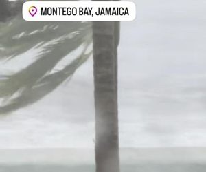 Aleksandra Żebrowska