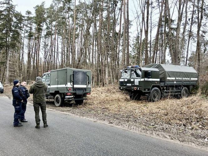 Dziki odkopały niewybuchy z czasów II wojny światowej. Saperzy zabezpieczyli 21 pocisków 