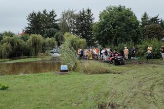 Strażacy z OSP Płoskie wracali z akcji i uratowali jastrzębia