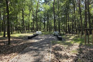 Las pamięci na Junikowie w Poznaniu