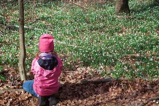 8. Rezerwat Śnieżycowy Jar
