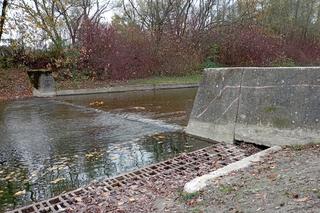 Dzieje się nad wodą