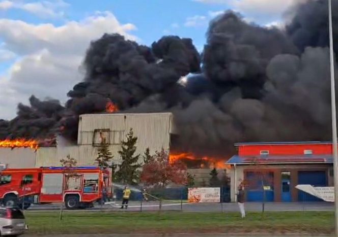 Pożar składowiska odpadów. Płonie też hala. Trwa walka o opanowanie ognia