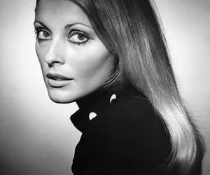 Ostatni dzień Sharon Tate. Rocznica zbrodni, która wstrząsnęła Hollywood