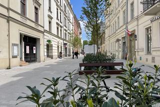 Zieleń w centrum miasta. Tak zmienia się ul. Krupnicza w Krakowie! 