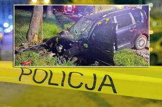 Jego auto roztrzaskało się o drzewo, 29-latek zginął! Śmiertelny wypadek na drodze krajowej nr 91
