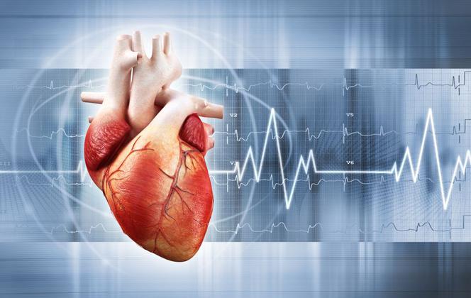 Skanowanie serca. Najnowocześniejsze badanie diagnostyczne serca