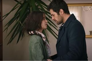 Wichrowe wzgórze 65 - streszczenie 