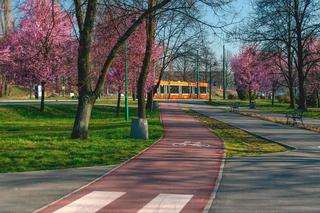 Najniebezpieczniejsze miasta w Polsce. Tutaj strach wychodzić na ulice!