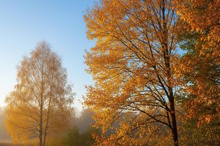 Powrót babiego lata. Kiedy temperatury przekroczą 20 stopni Celsjusza?