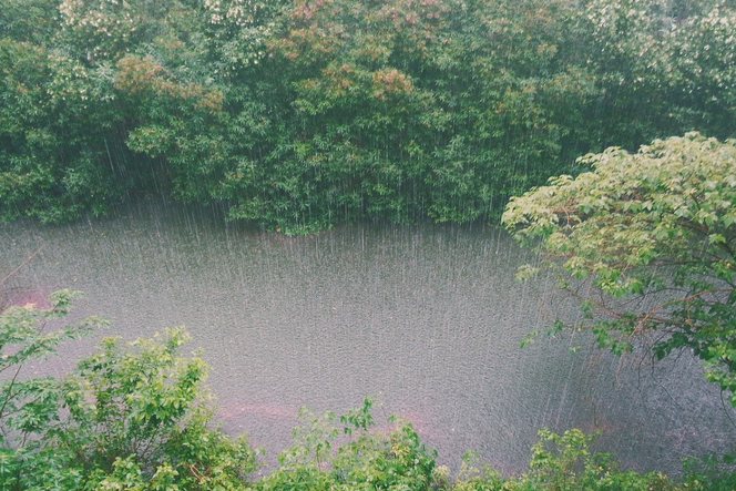 Ulewa, deszcz / zdjęcie ilustracyjne
