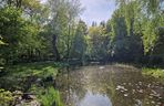 Wiosna w Ogrodzie Botanicznym UKW, czyli spacer wśród zieleni