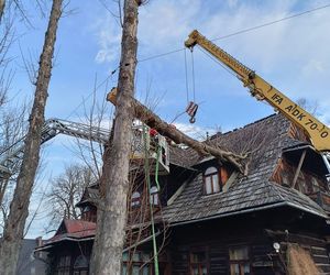 Halny w Tatrach złamał drzewo, konar spadł na dom. Nie kursuje kolejka na Kasprowy