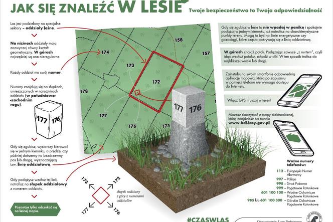 Warto skorzystać z tych rad – jak nie zgubić się w lesie?