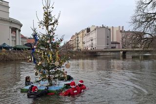 Udekorowana choinka stanęła na środku rzeki w Kaliszu