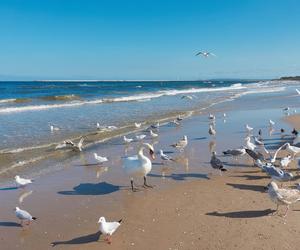 Najlepsze plaże w Polsce