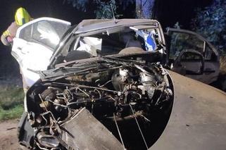 Śmiertelny wypadek pod Tomaszowem Lubelskim! 31-latek zginął w zmiażdżonym fordzie [ZDJĘCIA]