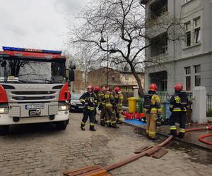 Pożar mieszkania w Toruniu. Dwie osoby w szpitalu, osiem zastępów straży w akcji