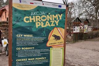 Ochrona żab na Barbarce