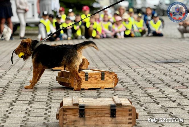 Wiernie służyli przez 10 lat. Kałam, Lejmur i Karzeł odeszli na zasłużoną emeryturę