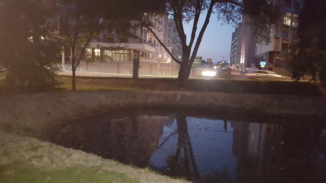 Odmulono staw w parku na osiedlu Słocina