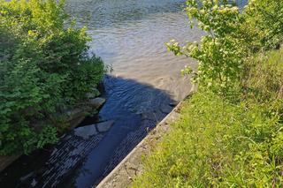 Ogromny zrzut ścieków do Wisły. Rzeką znów płynęły nieczystości 