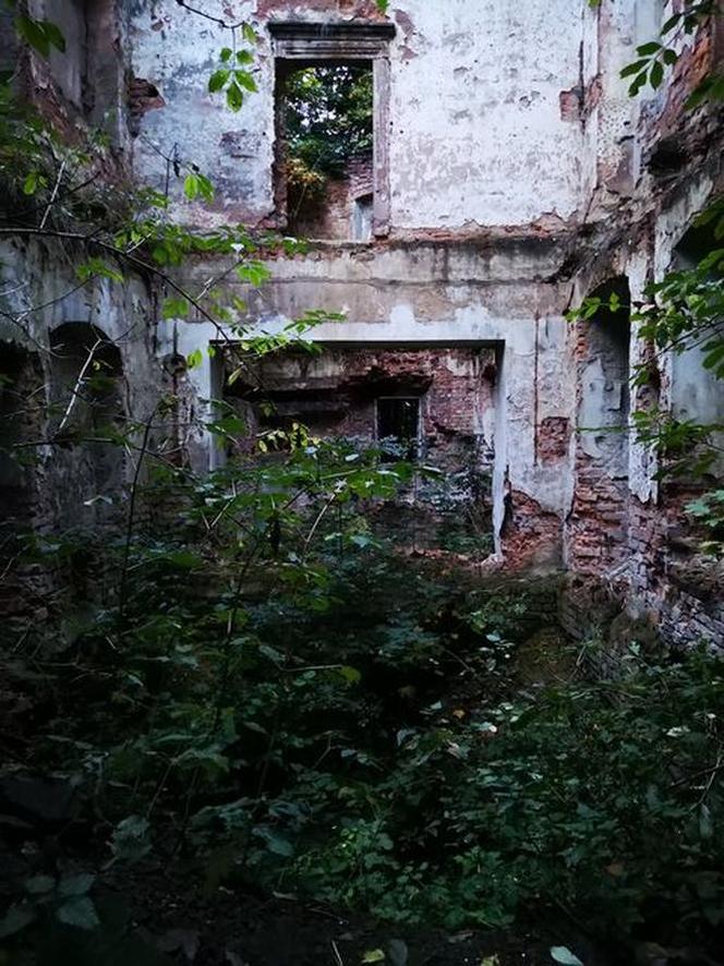 MROCZNY dwór w Małopolsce. TAJEMNICZE ruiny zamieszkują duchy? Sprawdź [ZDJĘCIA]