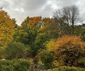 Ogród Botaniczny we Wrocławiu